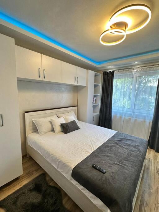 Stylish Apartment In Dambu Targu Mures Luaran gambar